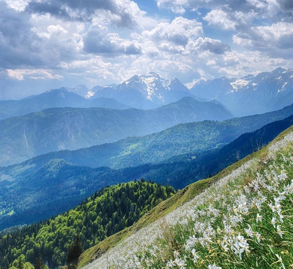 Apartments Pri Fencu Jesenice Eksteriør billede