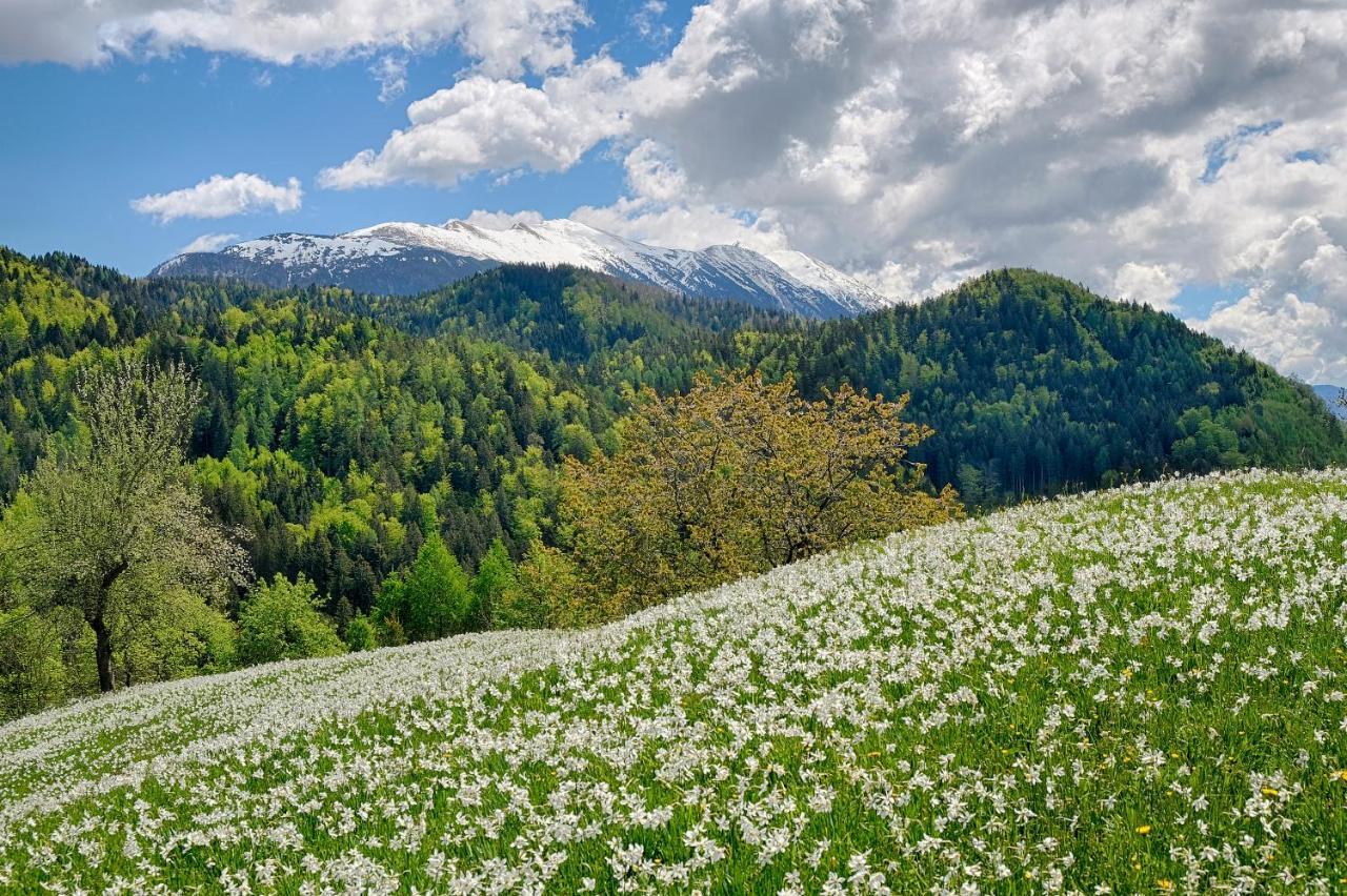 Apartments Pri Fencu Jesenice Eksteriør billede